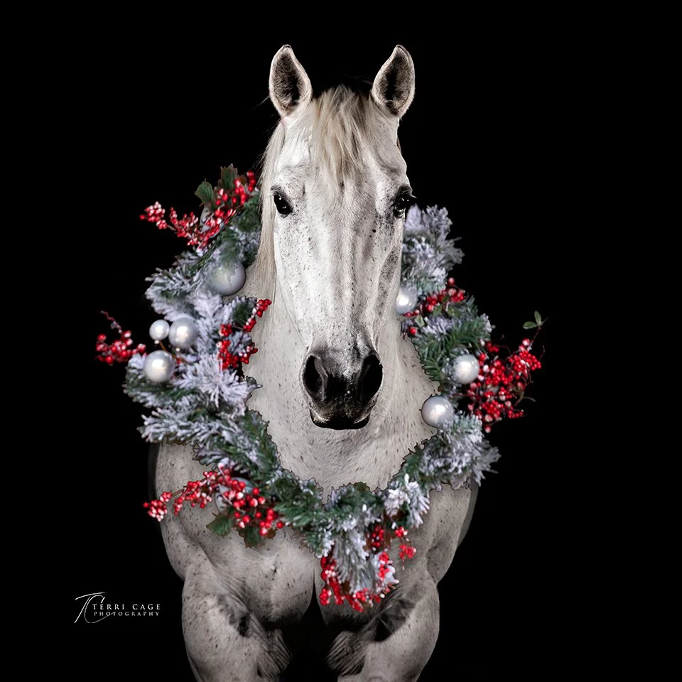 webeTCP-21wreath.jpg