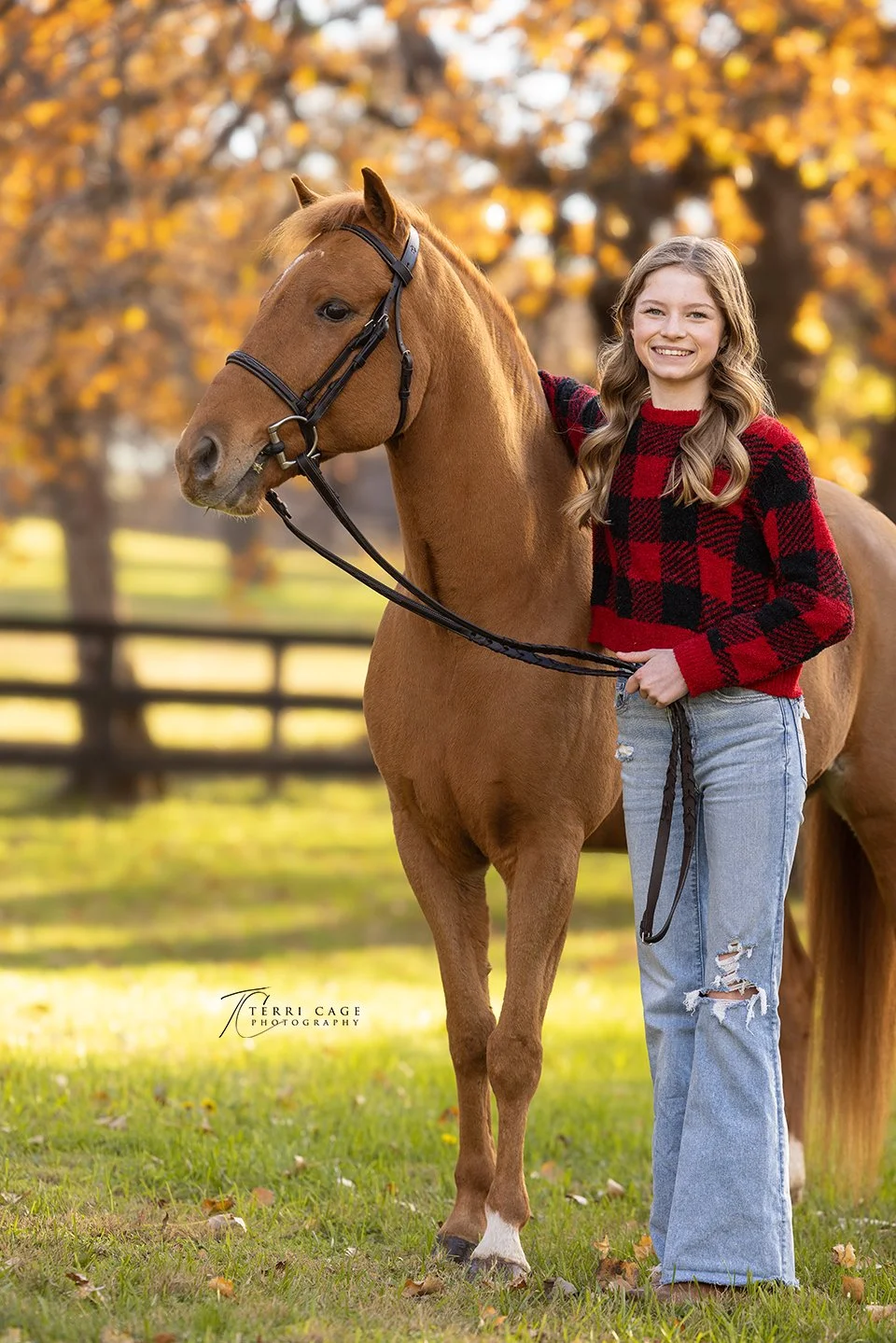 webTCP1223-9977.jpg