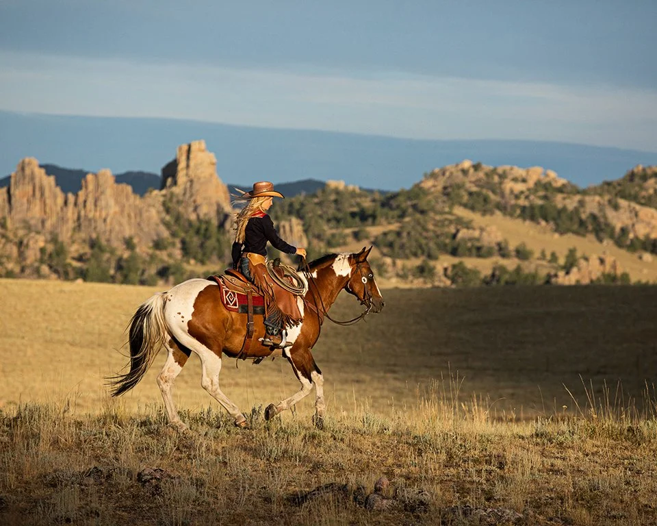 Ranch Paint Horse Landscape