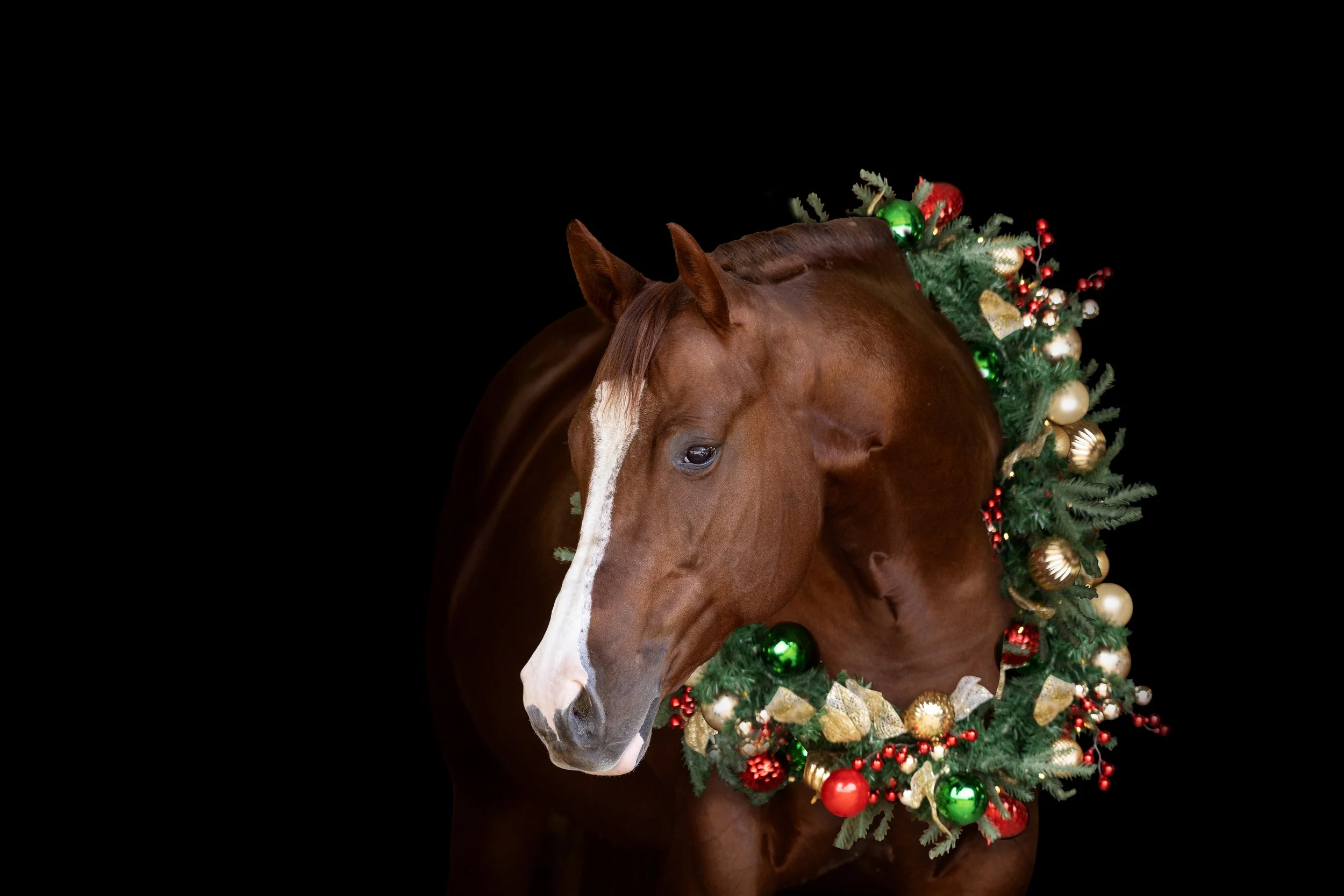 wreathmask and blackbackground.jpg