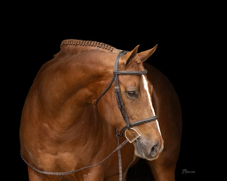 webTCP225-1235 copy.jpg