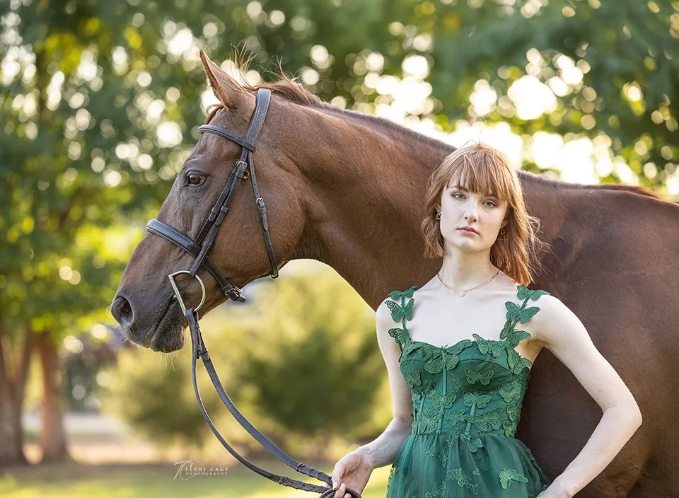 Bartonville equine photographer