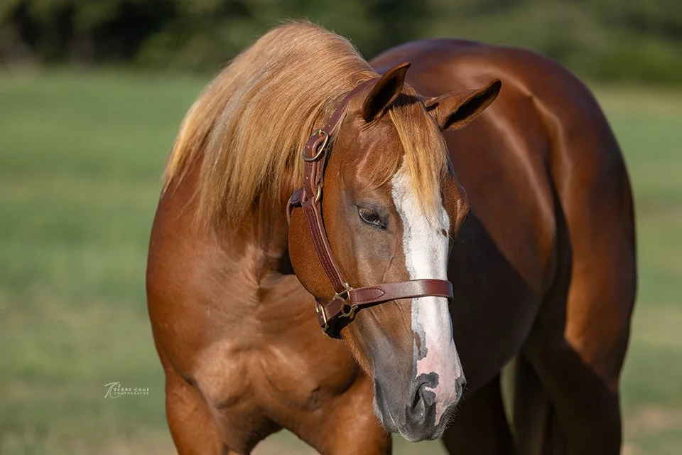 webTCP924-1406crop.jpg
