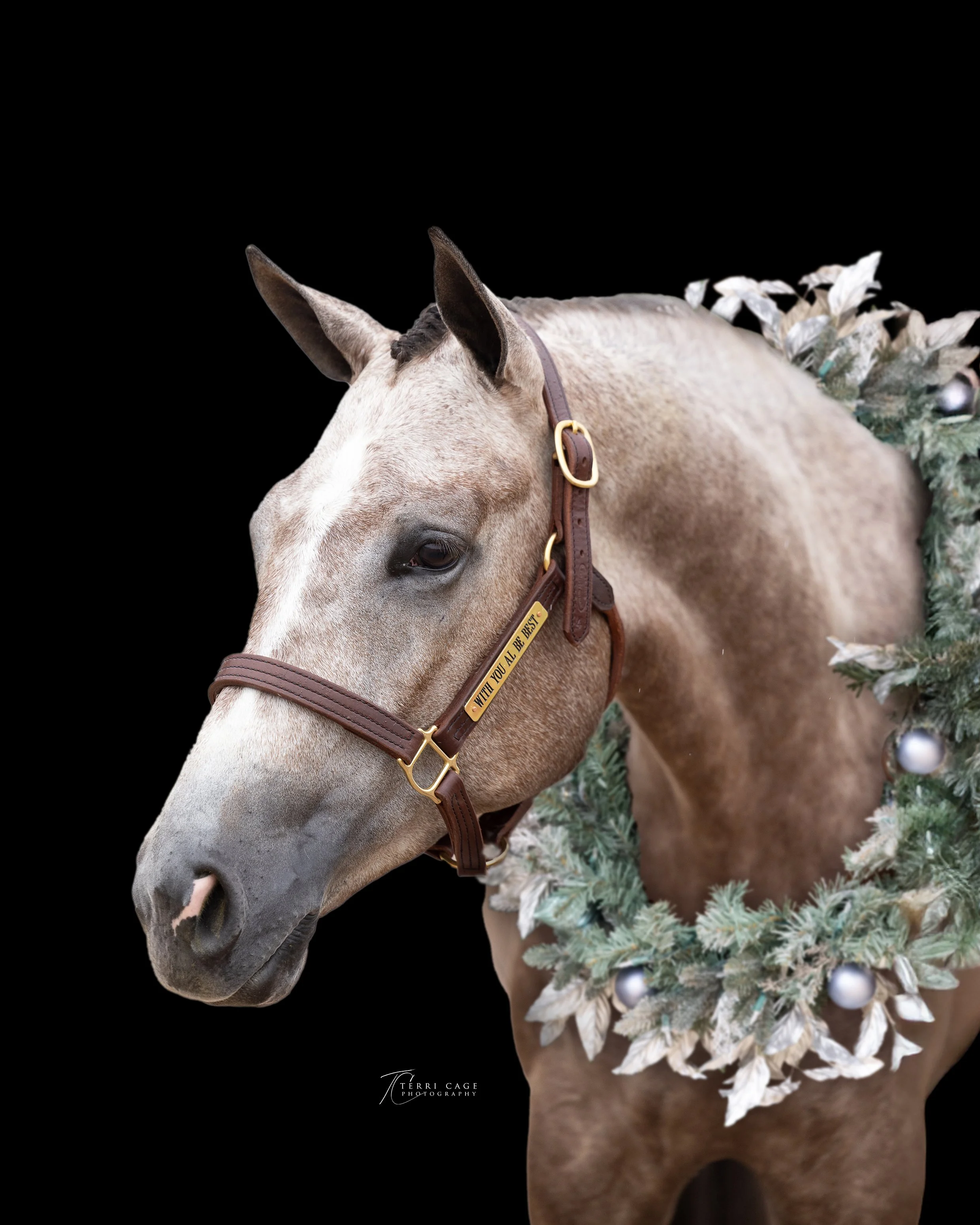 webTCP924-9416wreath.jpg