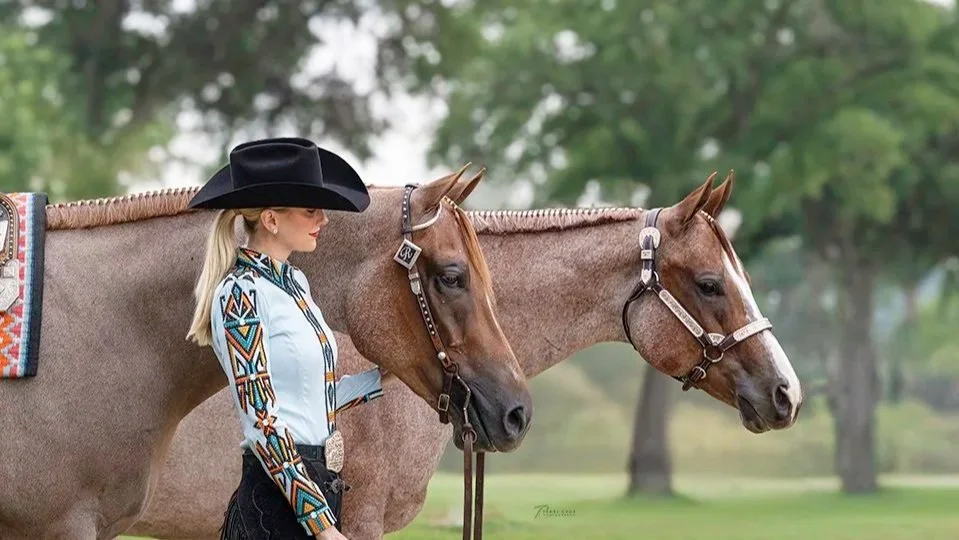 Equine Photography for AQHA World and Other Majors With a Pilot Point Standout.