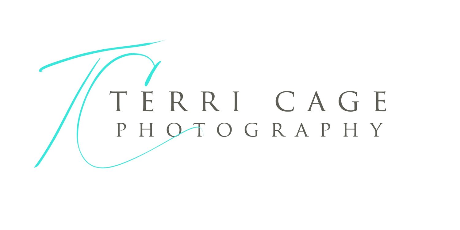 terri cage photography |  senior portraits | equine photographer