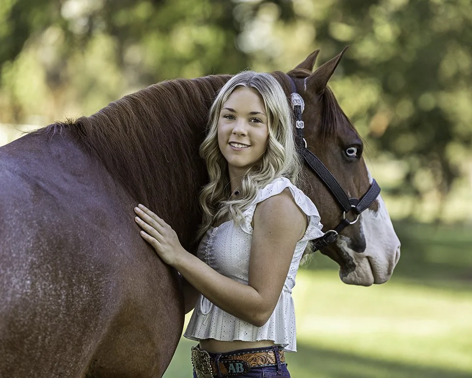 North Texas Equine Photographer reiner