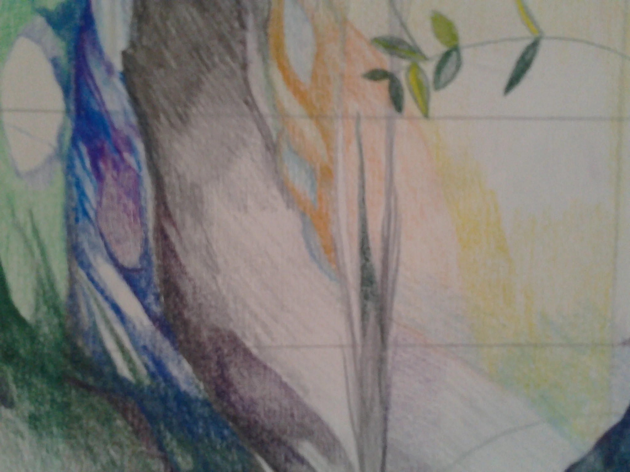 colored pencil.jpg
