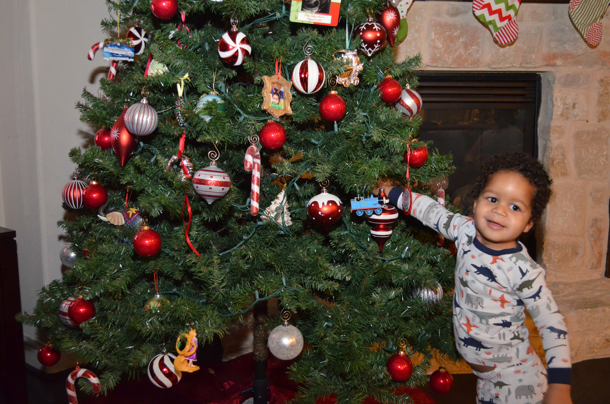 Day 494: Elliott hangs an ornament on the tree.