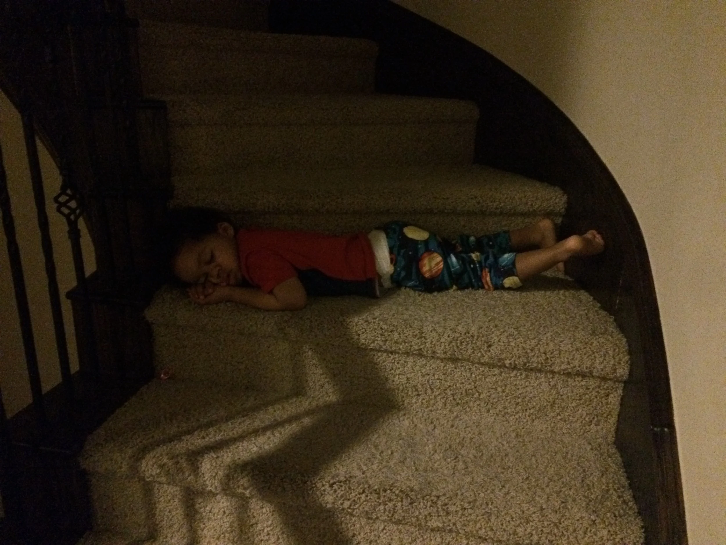 Day 575: We got ready to take Elliott his medication, only to find him asleep on the stairs.