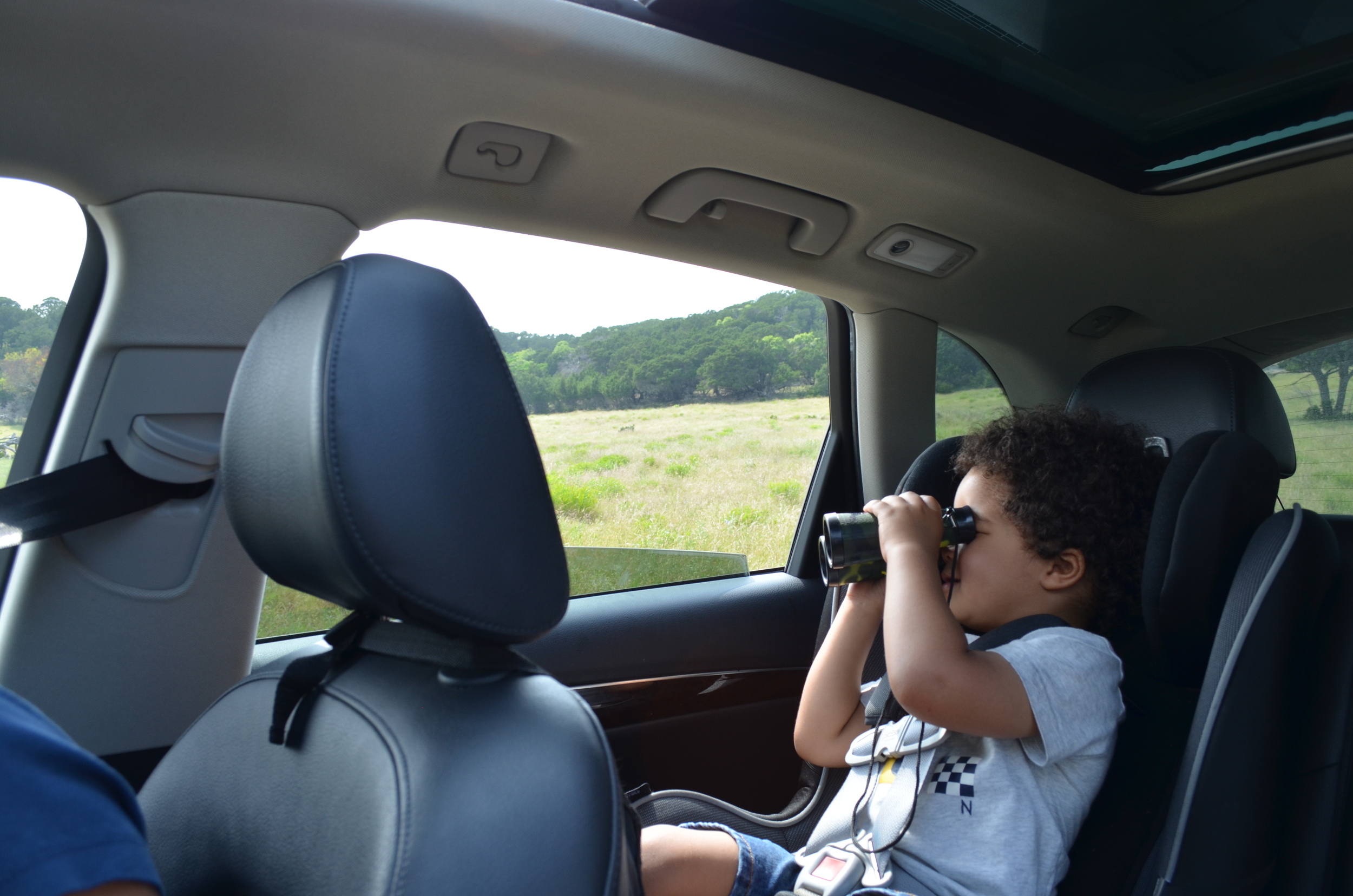 Day 668: Elliott enjoys a trip to Fossil Rim Wildlife Center on his birthday weekend.