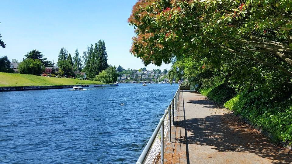 Montlake Cut.jpg