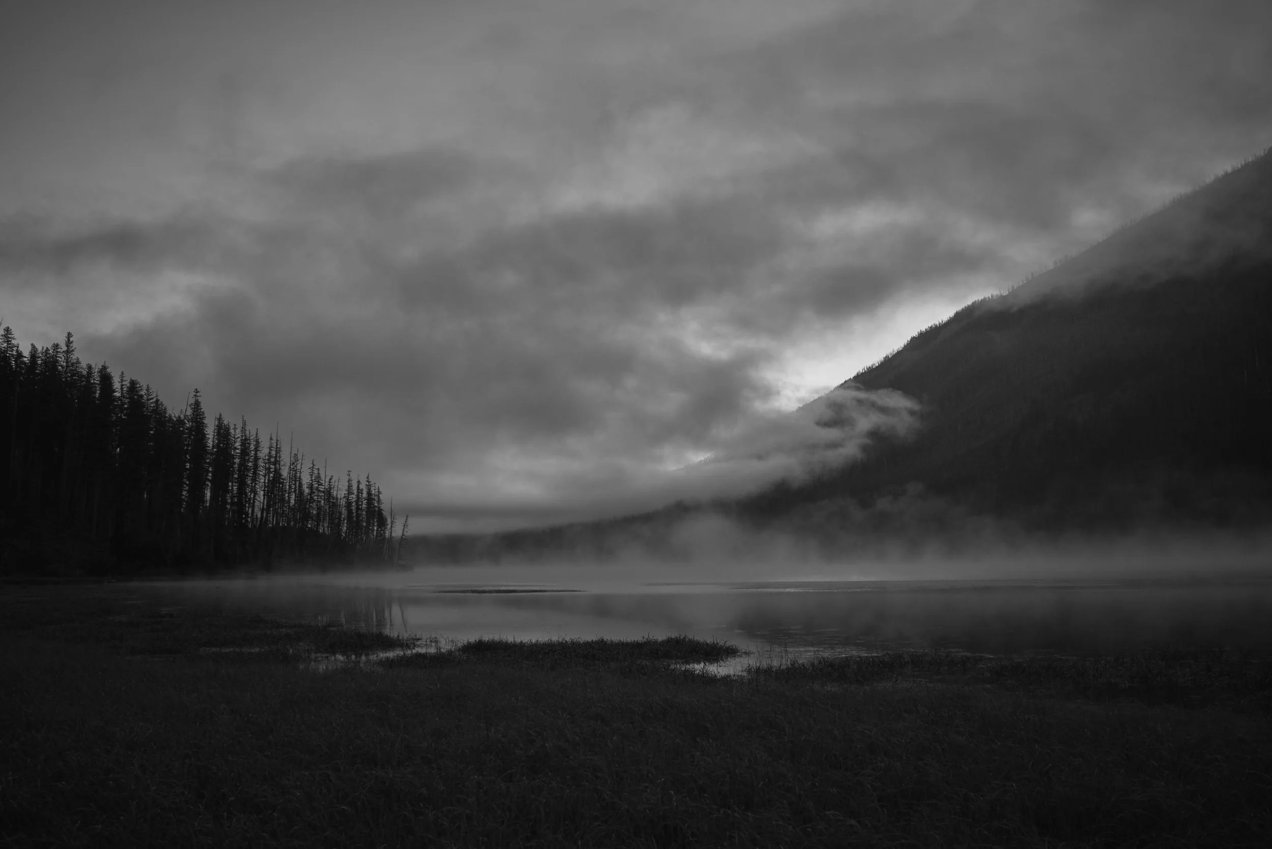 20221028_VJFB_0113.jpg