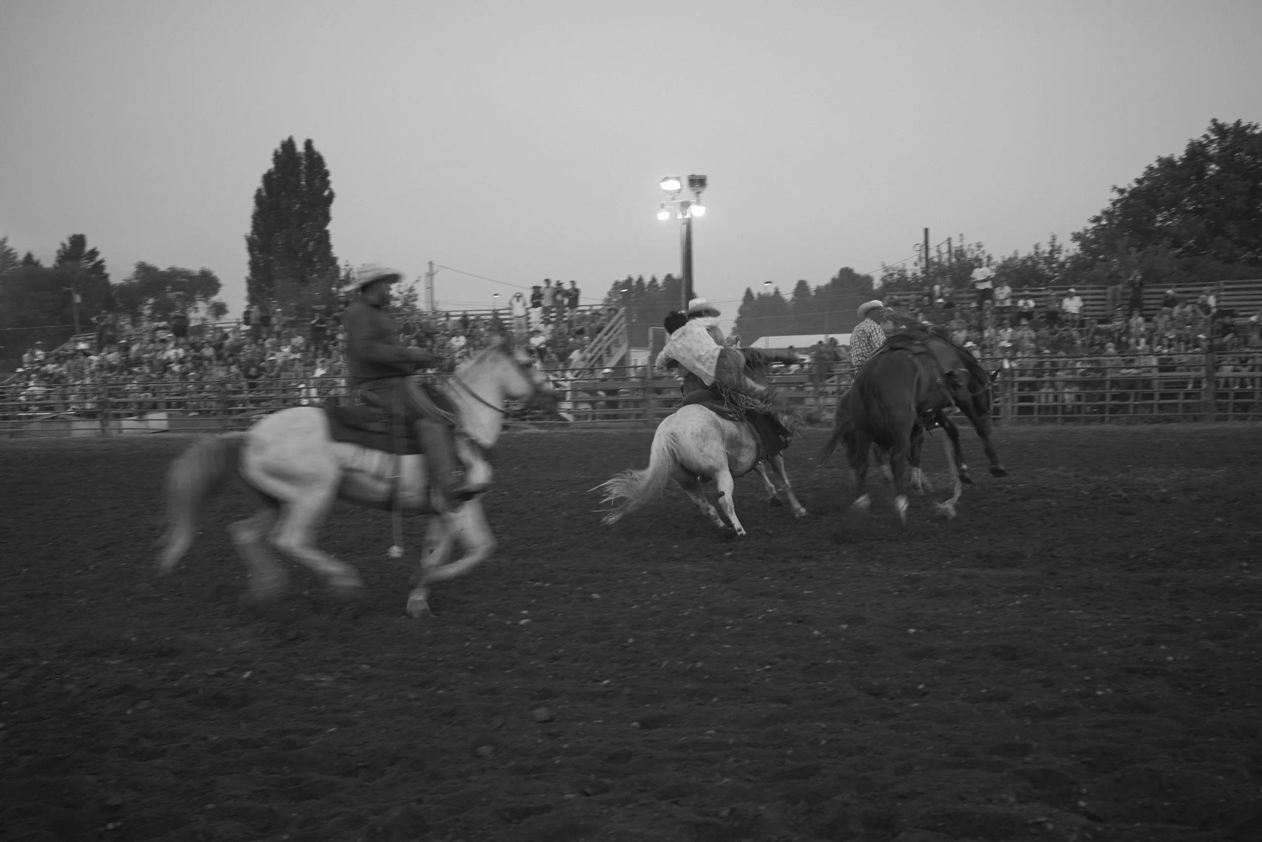 _DSC1314.jpg