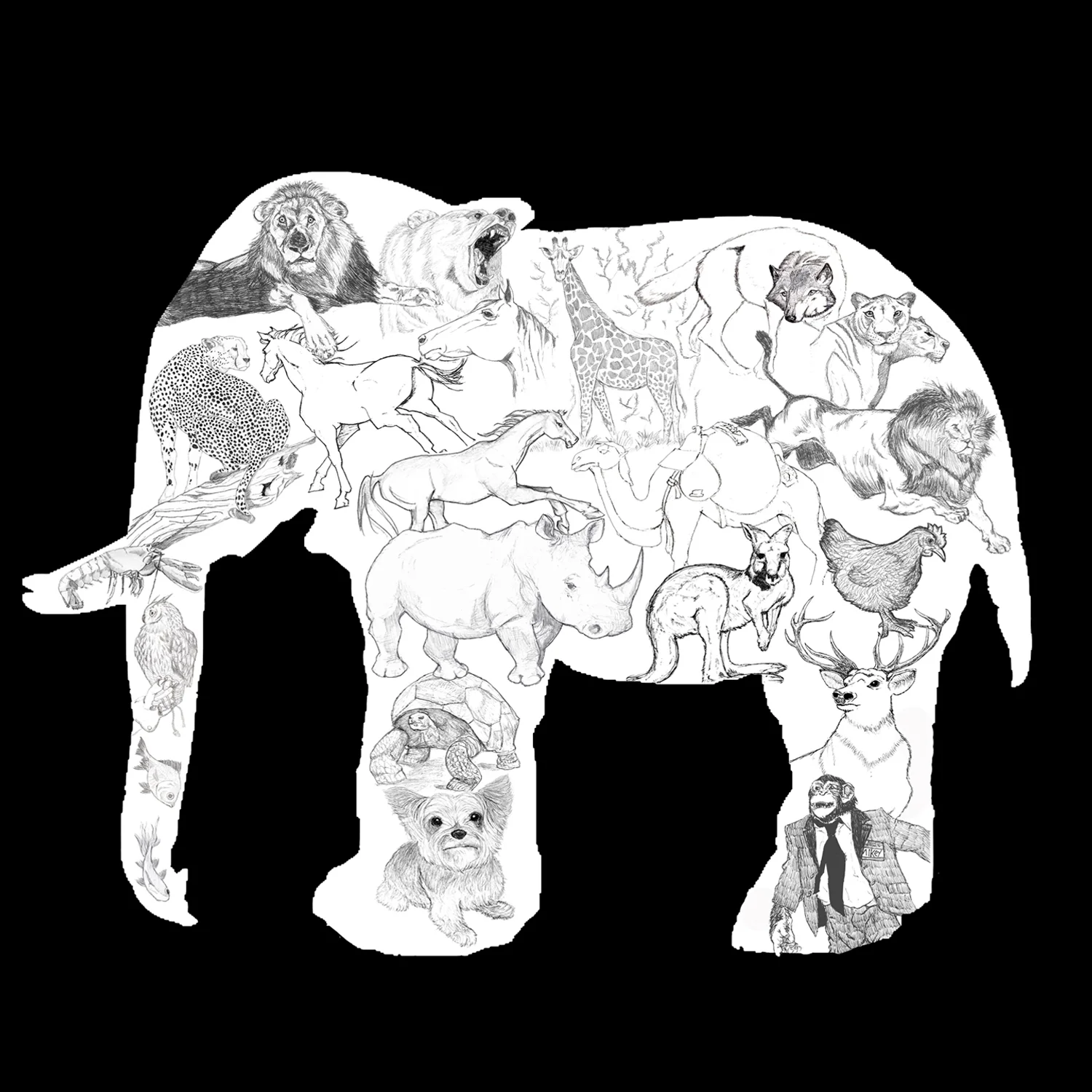 Animal Collage