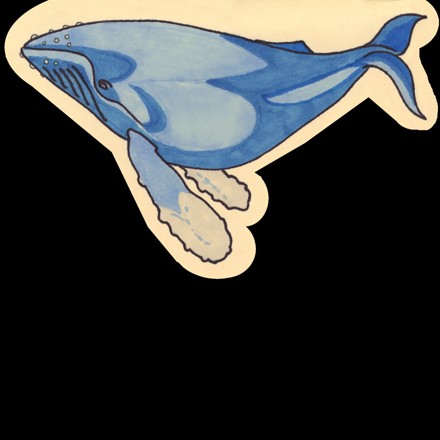 Whale