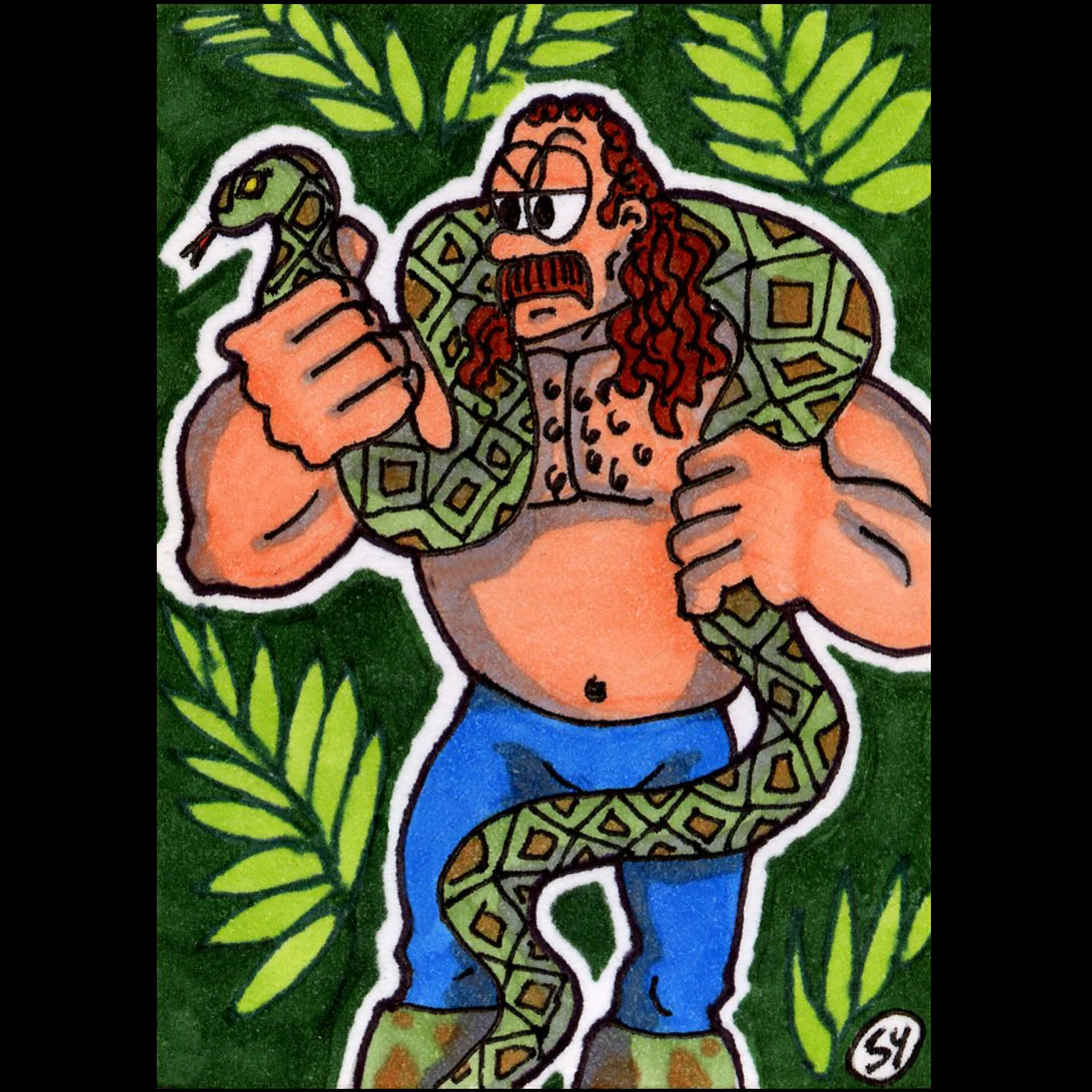 Jake "The Snake" Roberts [WWF]