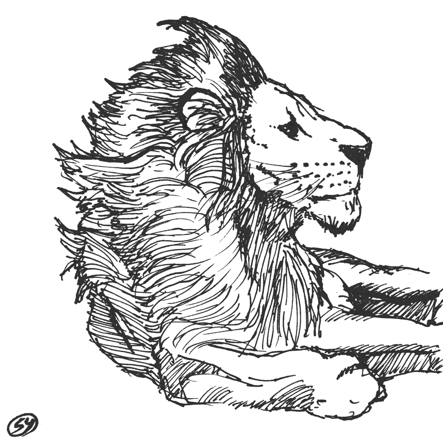 Lion