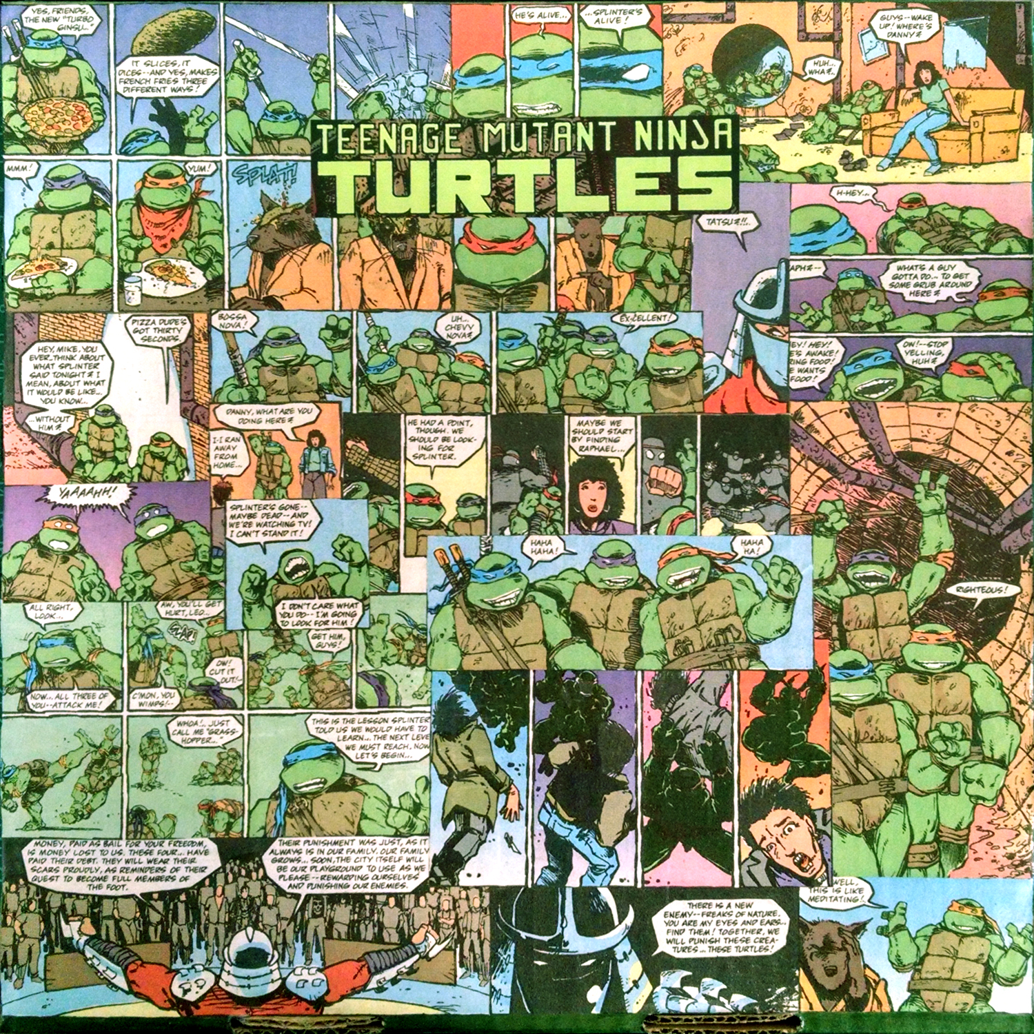 Teenage Mutant Ninja Turtles