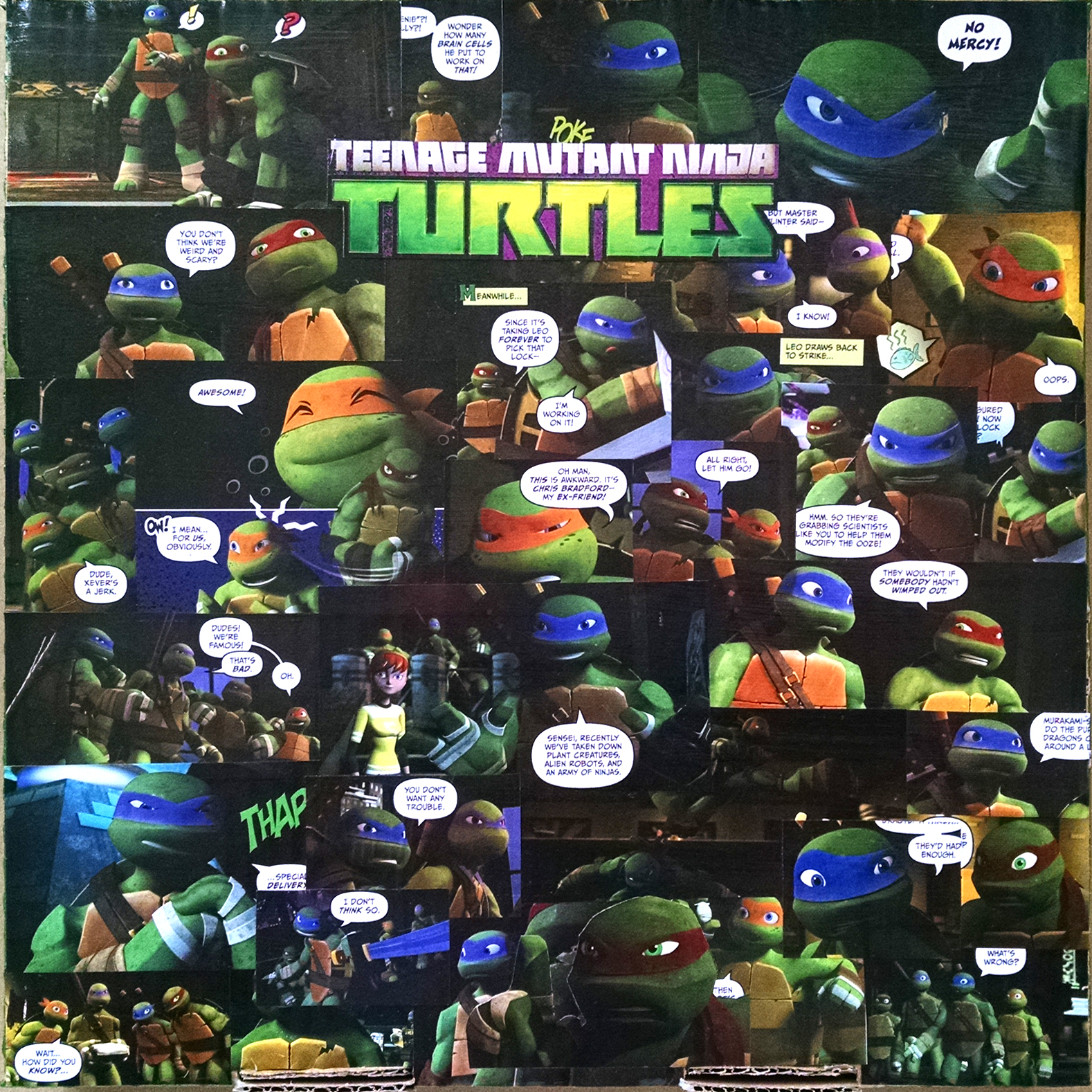 Teenage Mutant Ninja Turtles