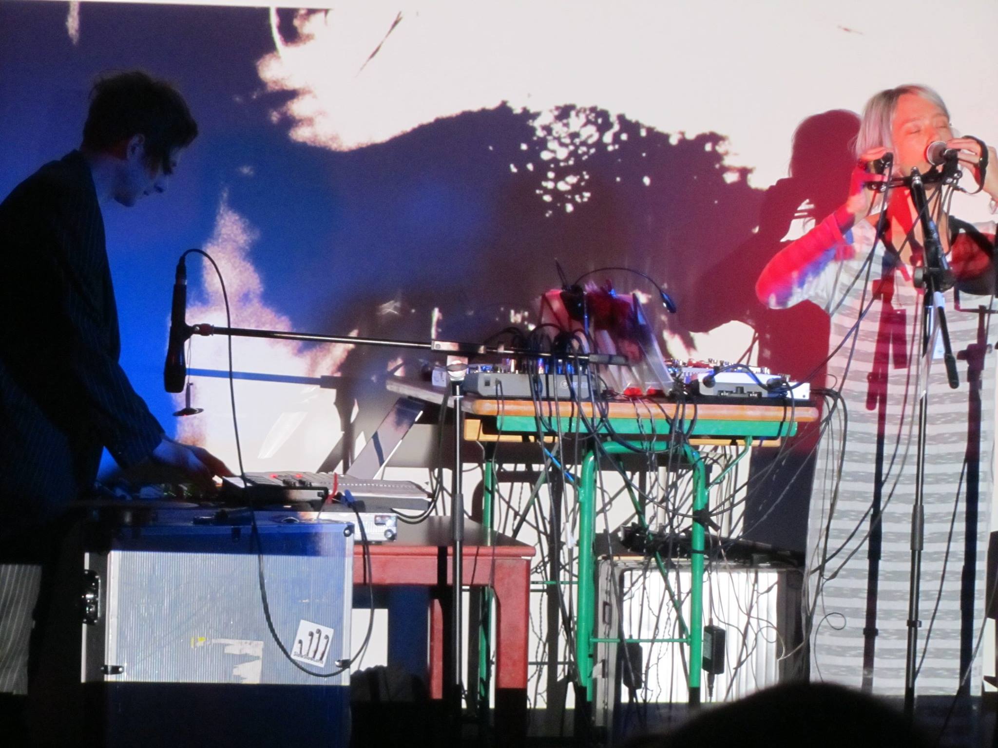 Ausklangfestival, Hamburg 2015, photo Alexandra Tolksdorf