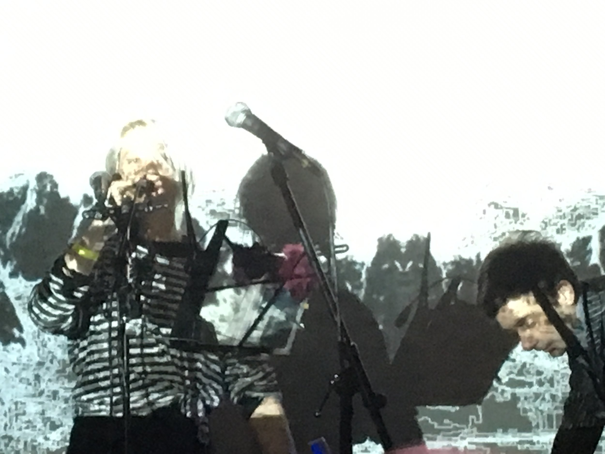 Denver Noise Fest 2016 photo Mark