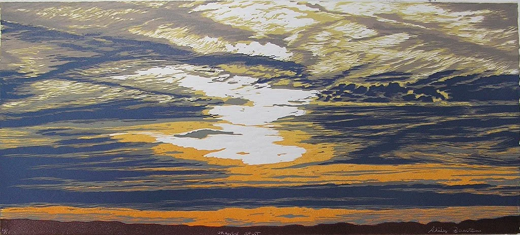 OrangeSplit copy.jpg