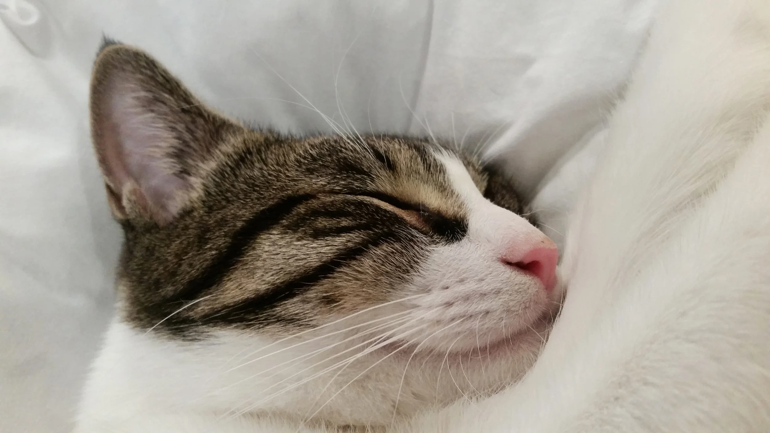 20141019_201915.jpg