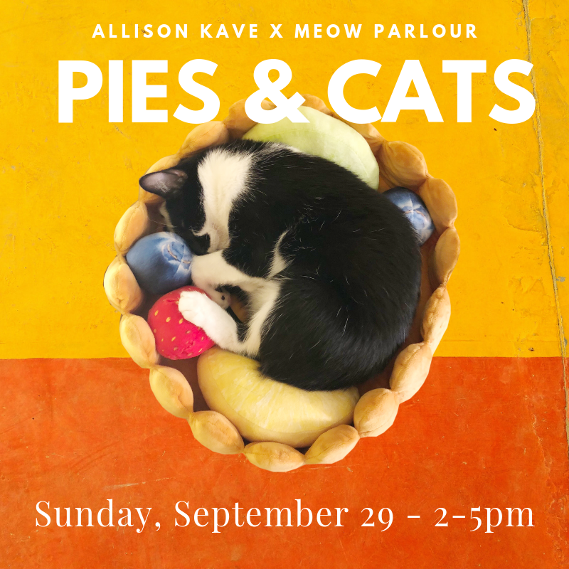 Allison Kave x Meow Parlour6.png