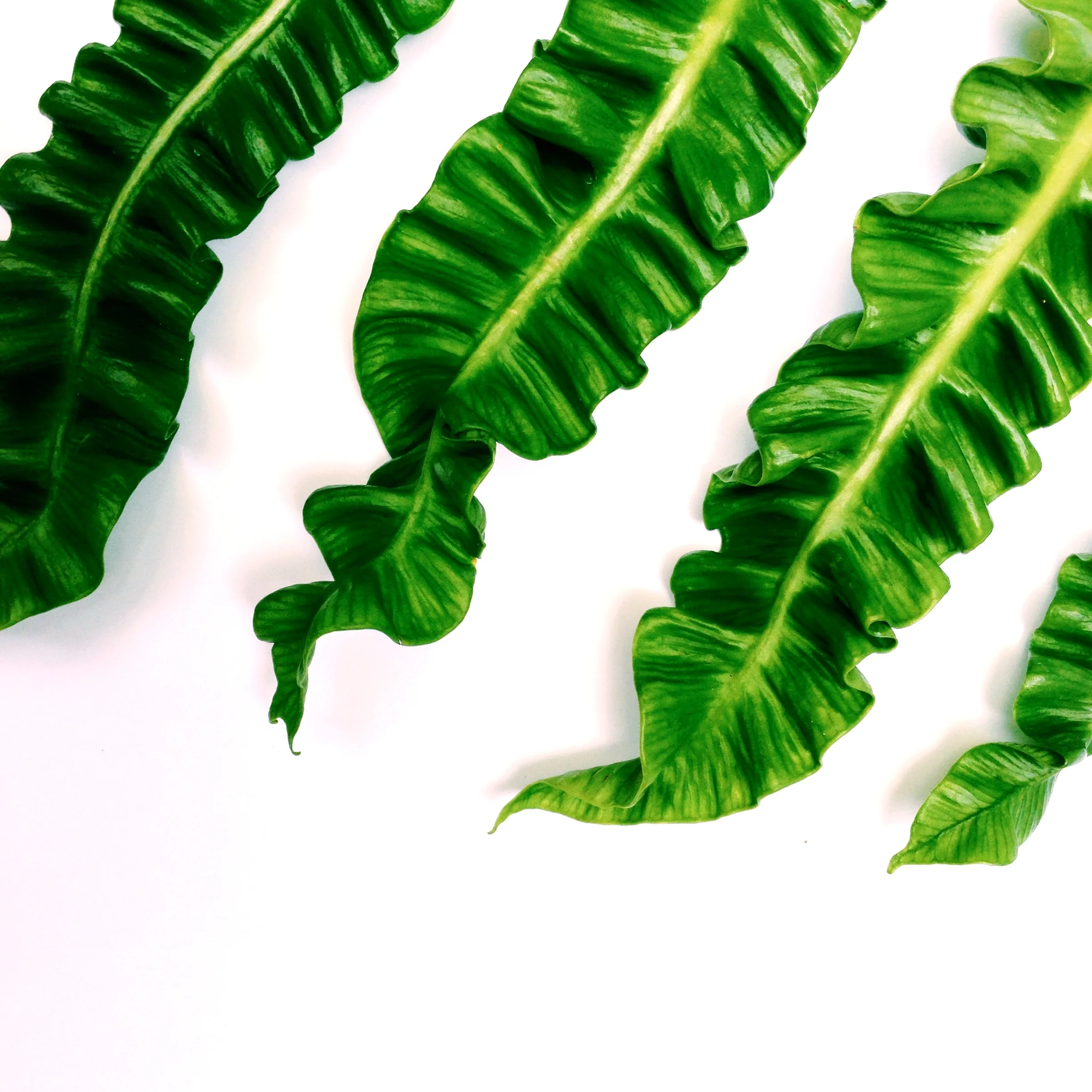 IMG_1426 - Version 2.jpg