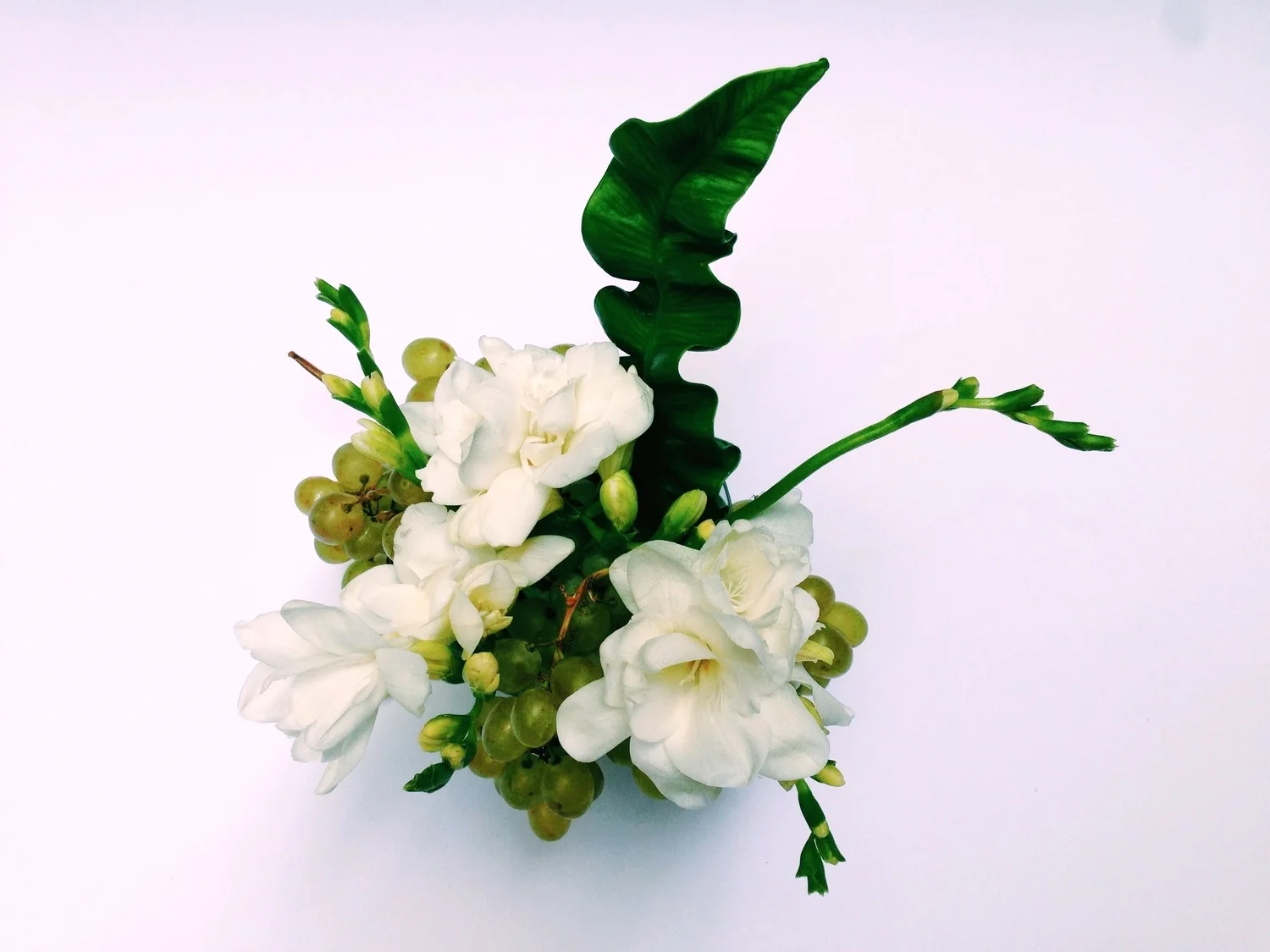 grapes arrangement