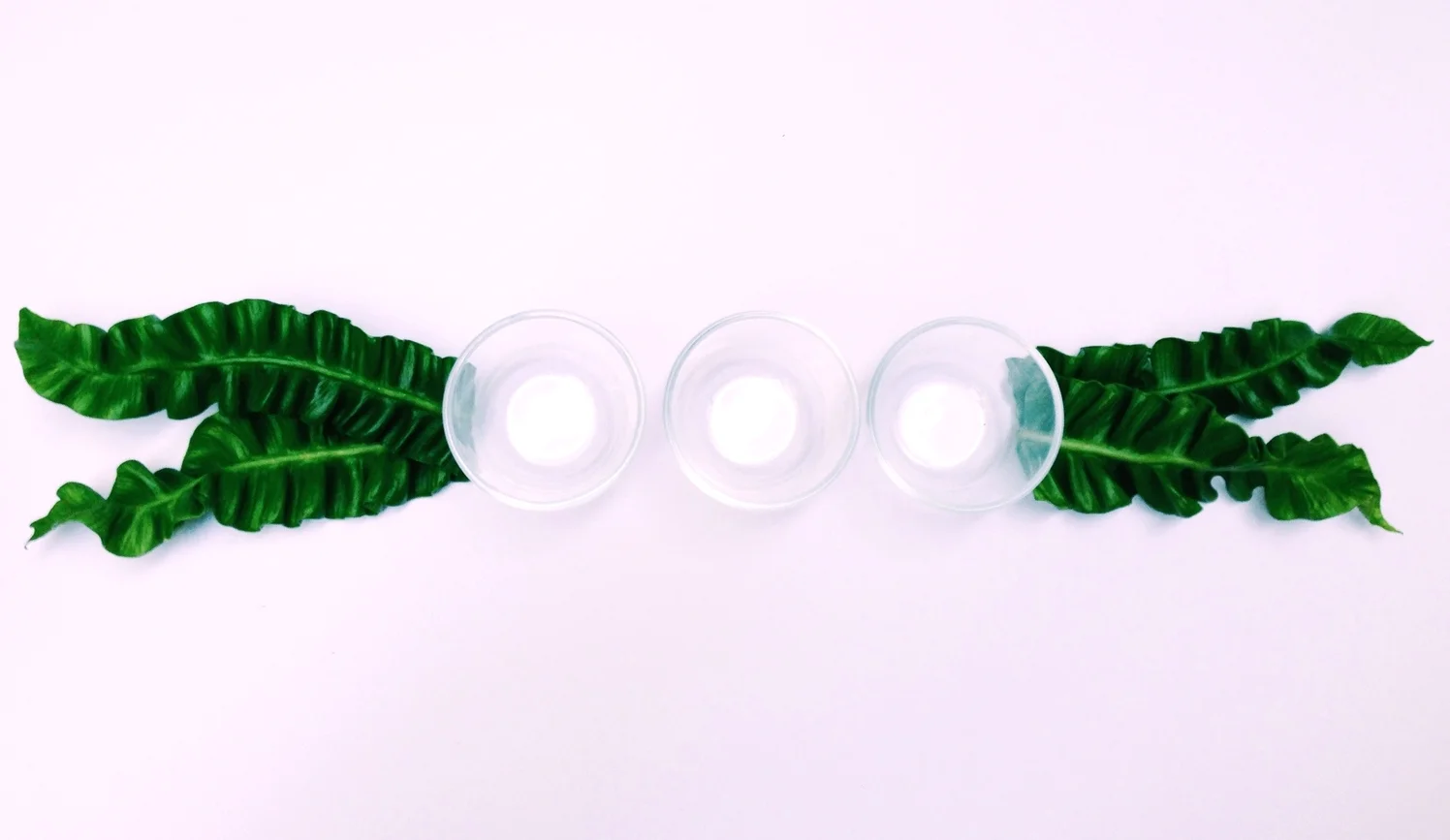 place the outside leaves first, making sure the leaves are not angled out too wide on your table