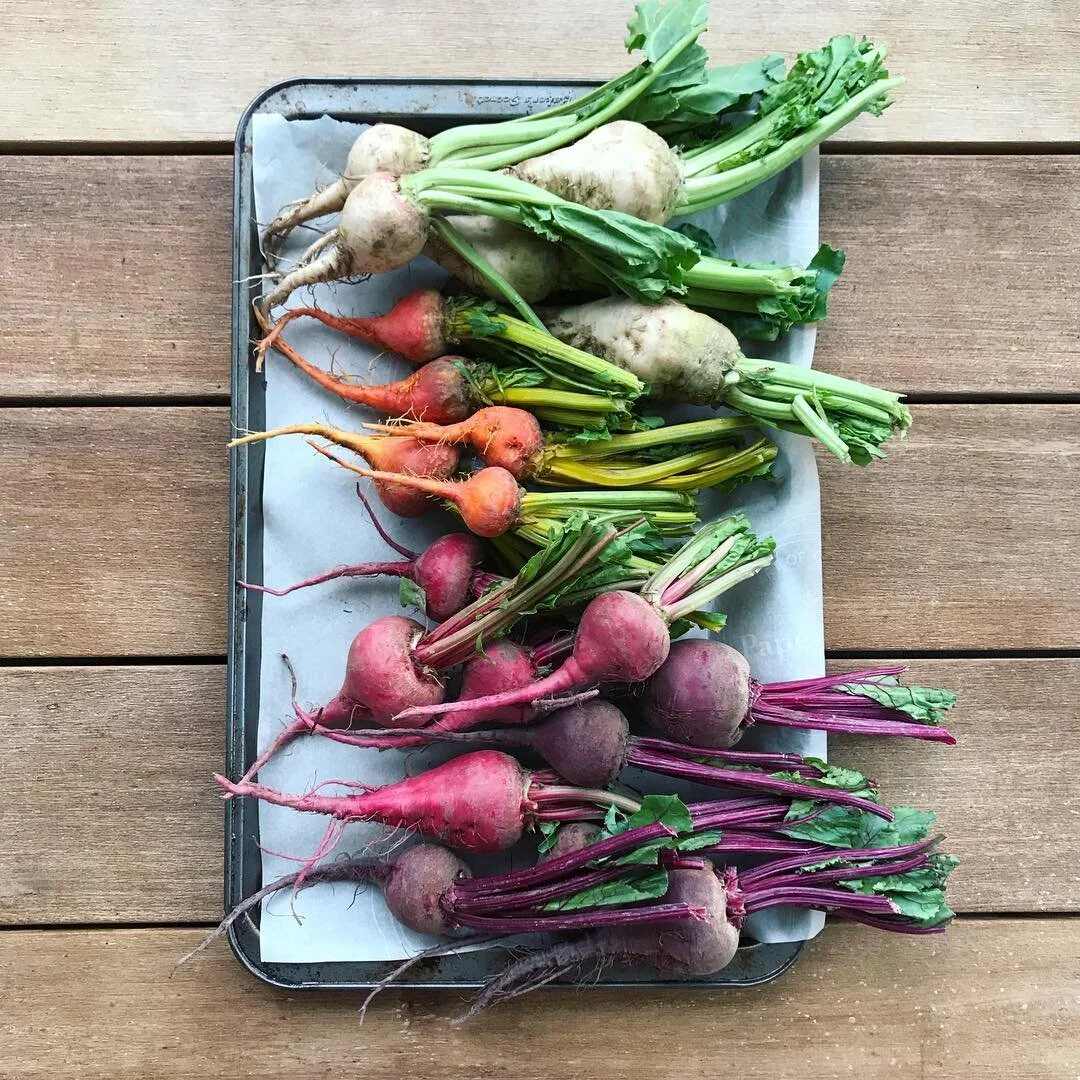 #okanagan rainbow beets 🌈🌈🌈 | #brunchpants