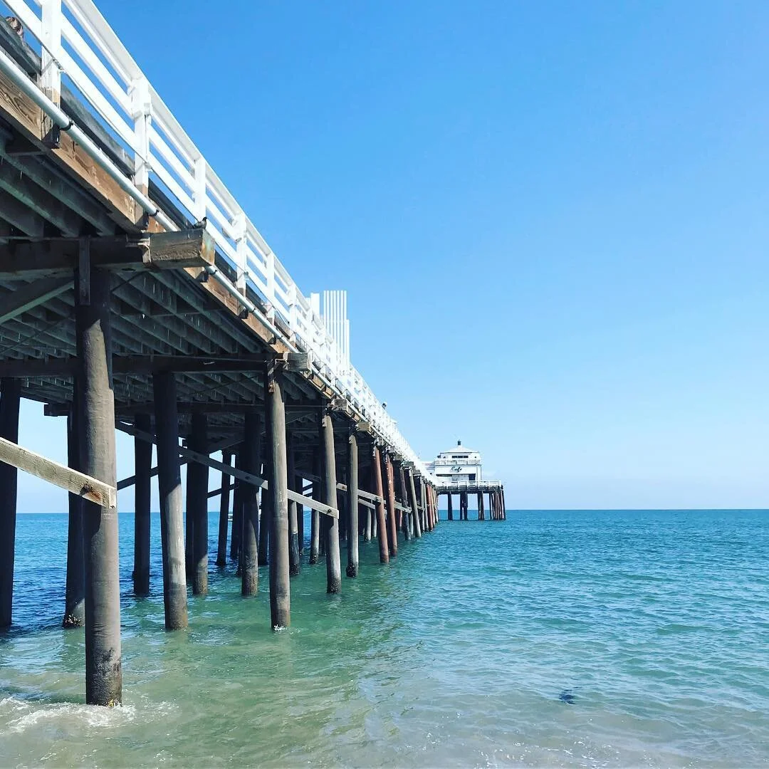 #malibu 🌴🌴🌴 | #brunchpants