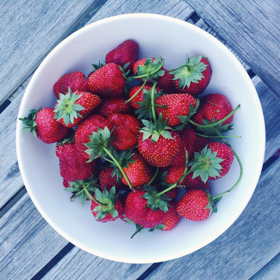 Summa in a bowl 🍓🍓🍓 | #brunchpants