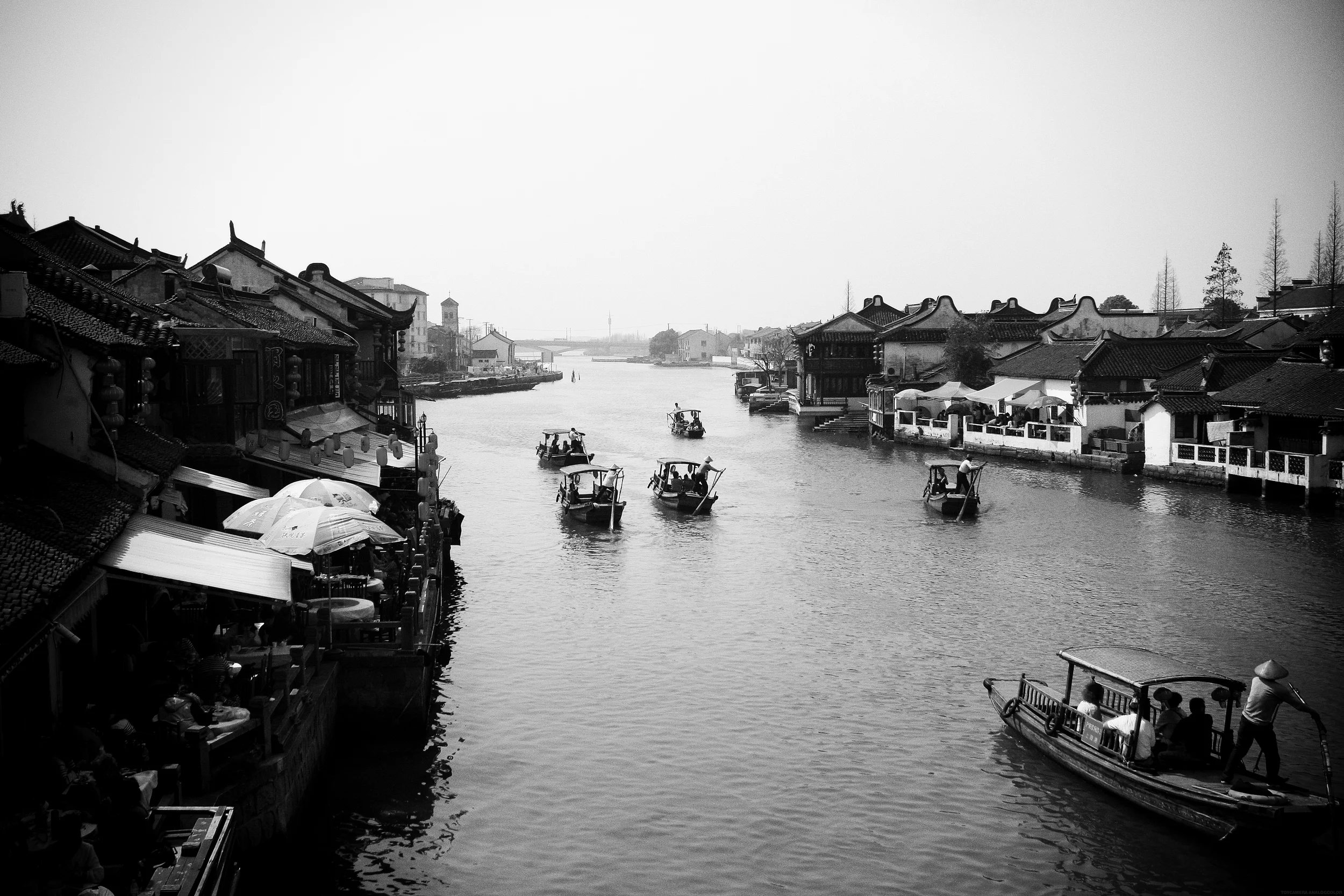 IMG_6873-001.JPG_effected.jpg