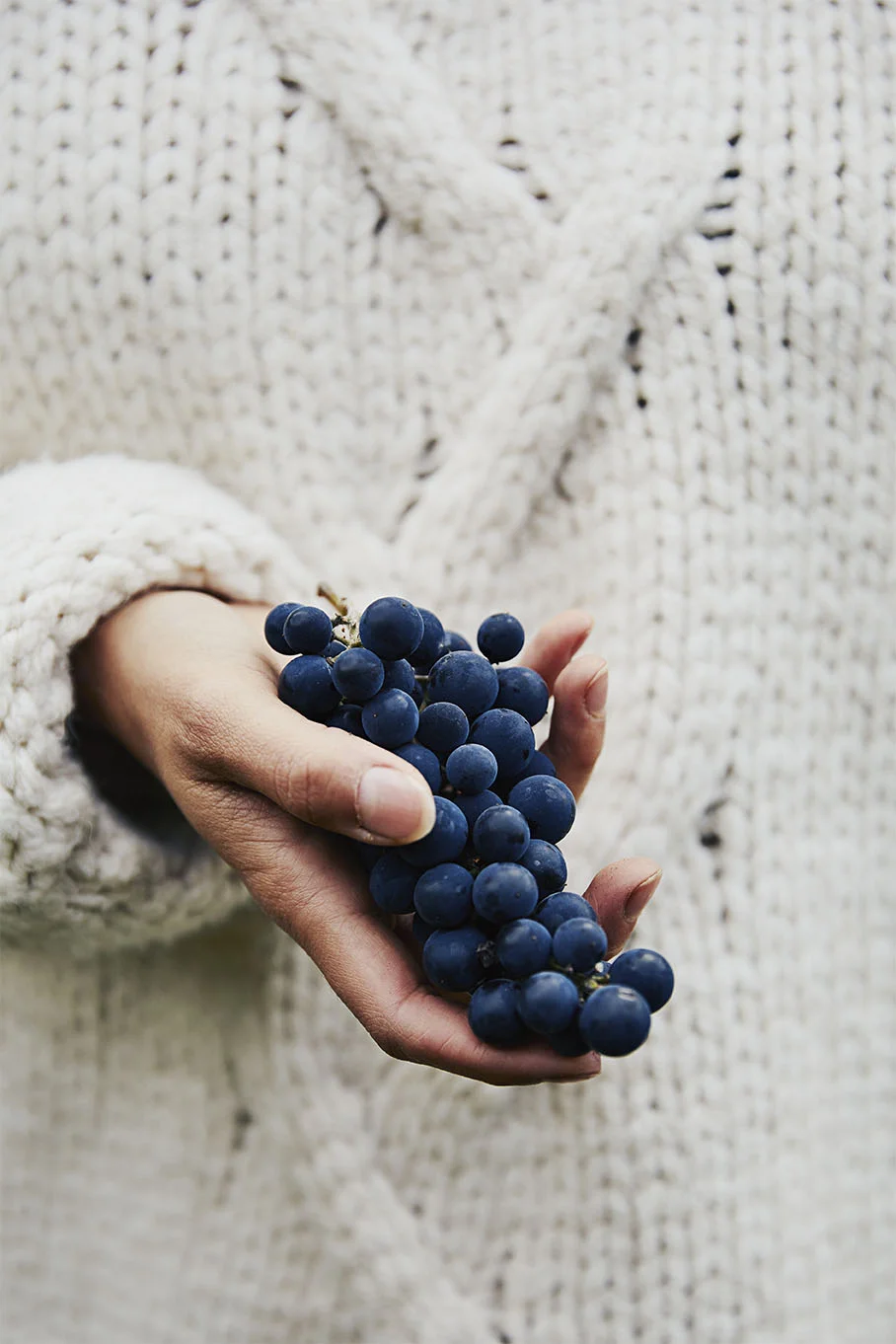 Li_Sylvie_Dinette_raisin_bleu_01.jpg