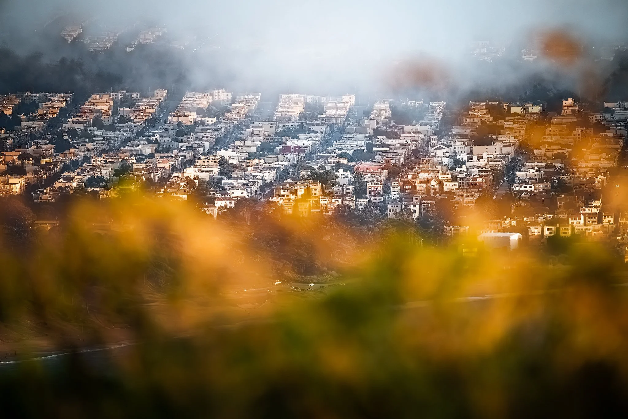 sf-city-scape.jpg