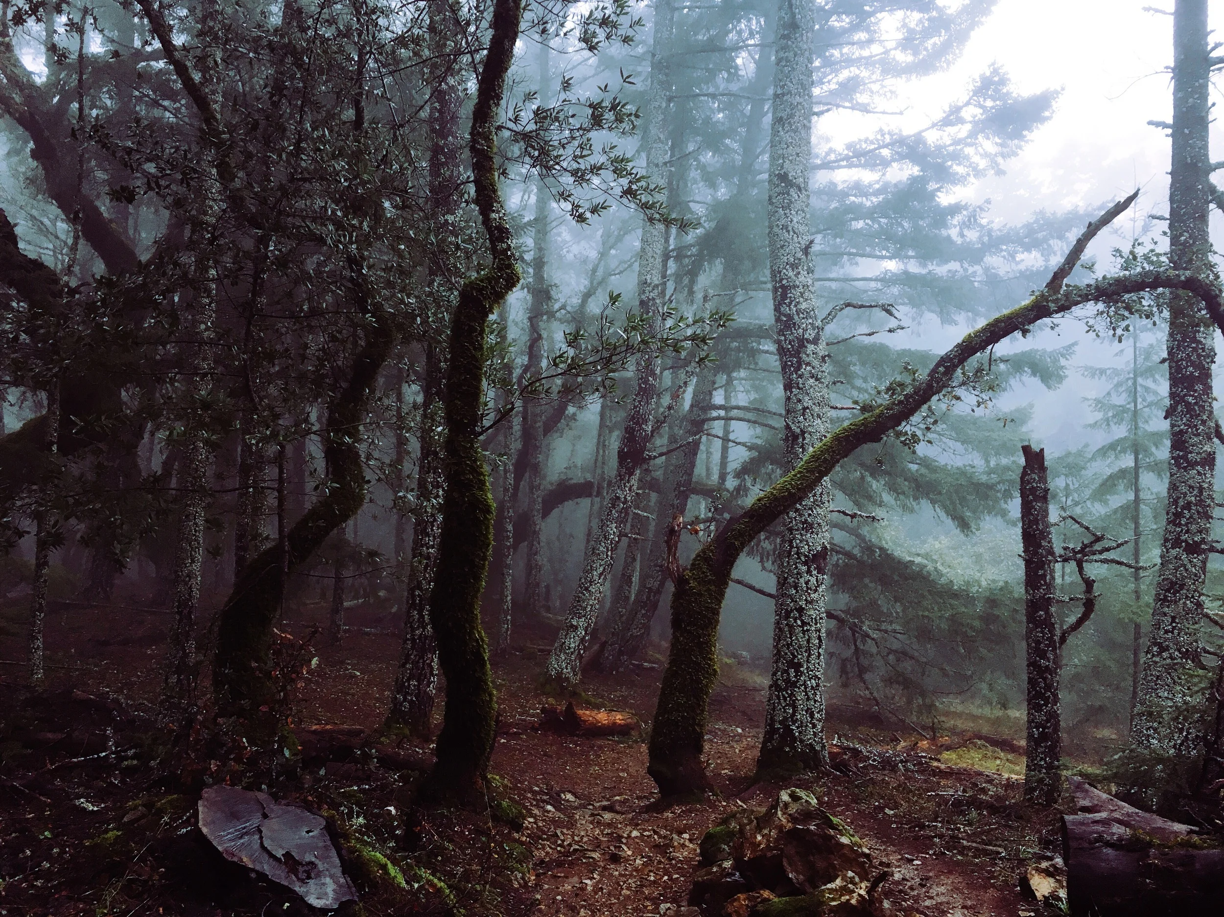 My Personal Resolutions for 2016