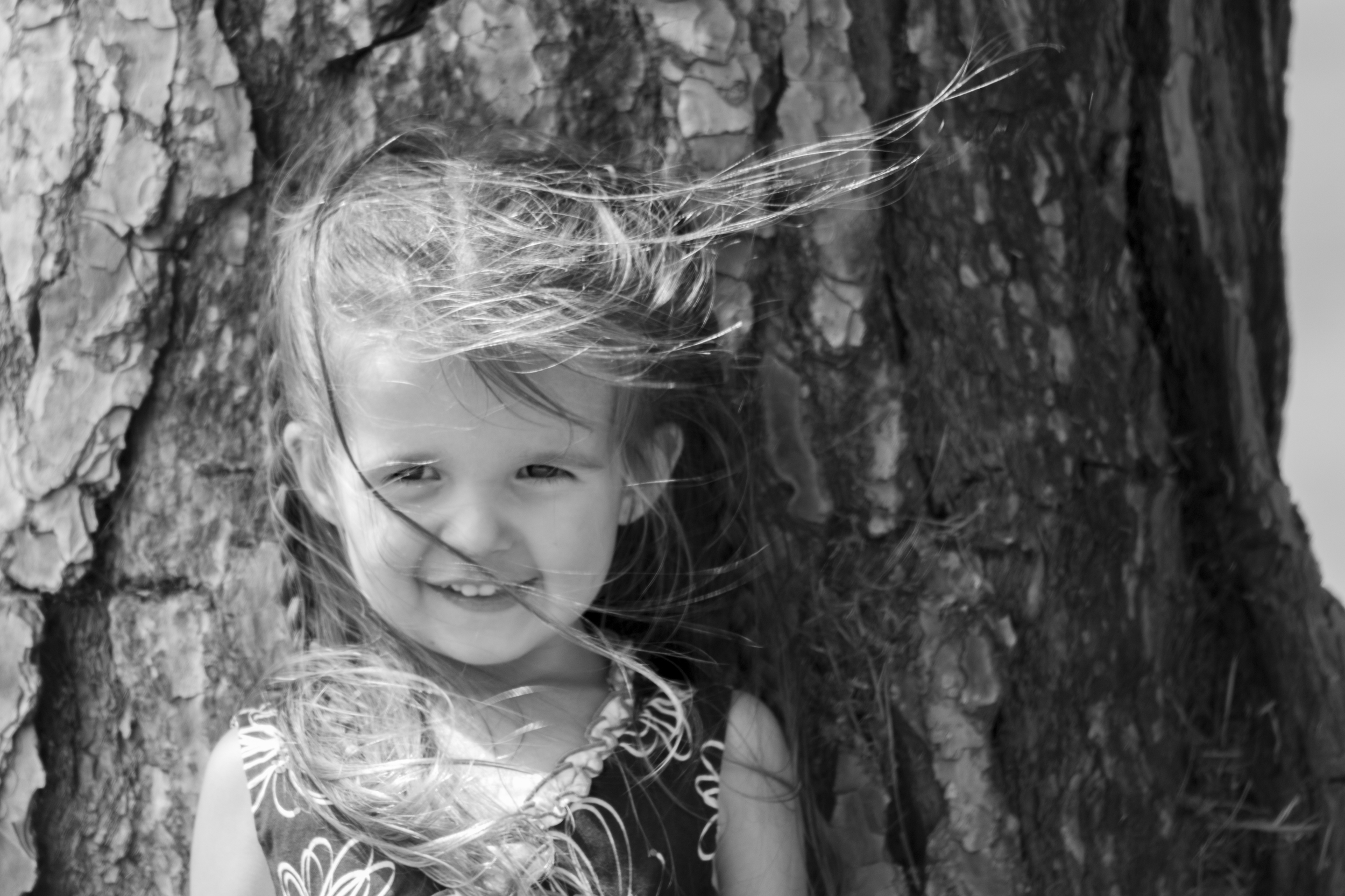 Averie-BW-Tree.jpg