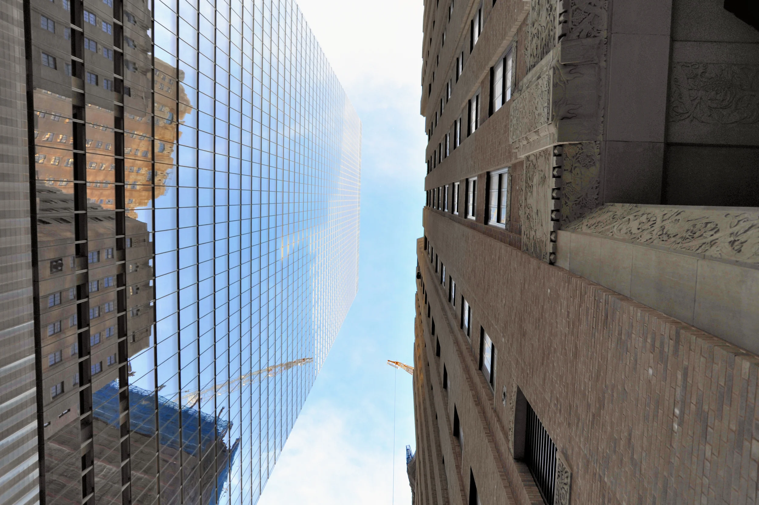 vertical reflection.jpg