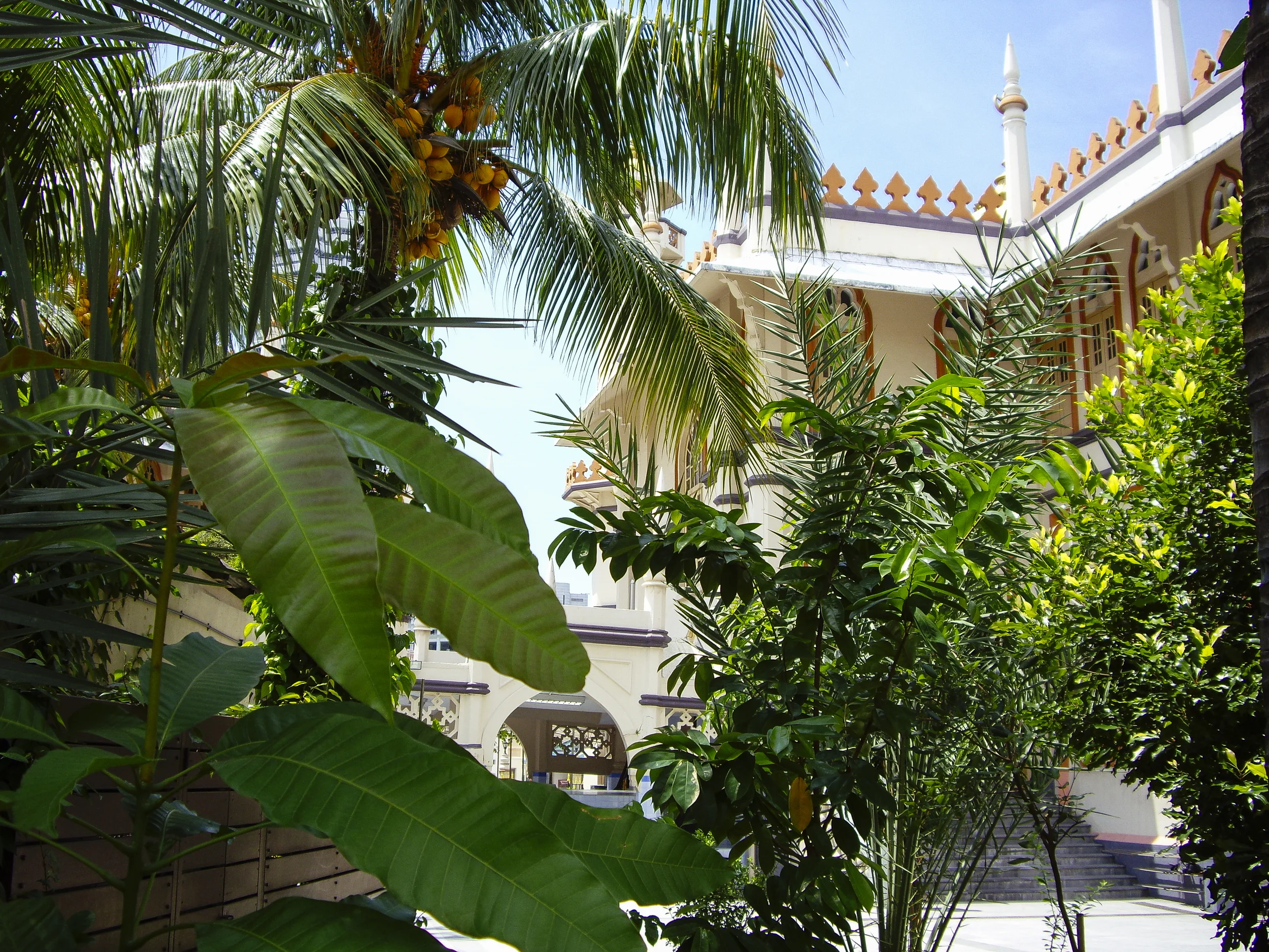 Singapore-10.jpg