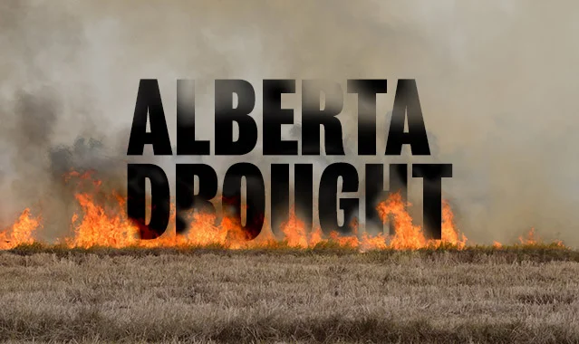 Drought_story-Image.jpg