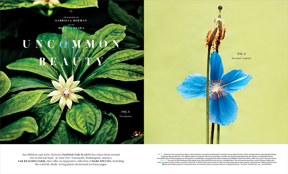 MSL_Mar15_UncommonBeauty_1.png