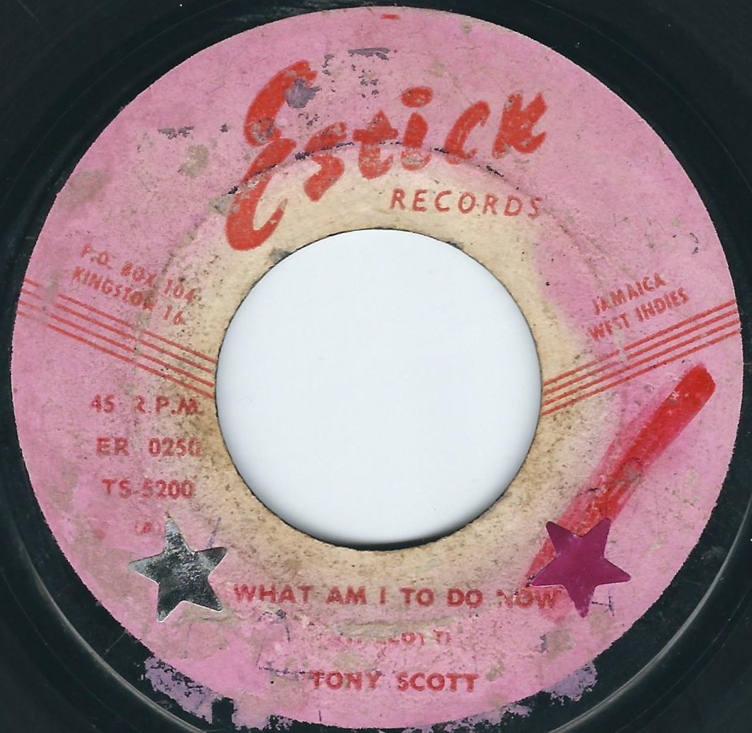 tonyscottwhat 2.jpg