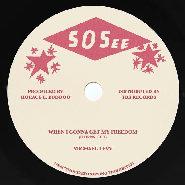 mikelevy12 2.jpg