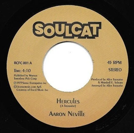 aaronneville.jpg