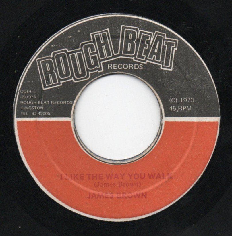 jamesbrownliketheway 1.jpg