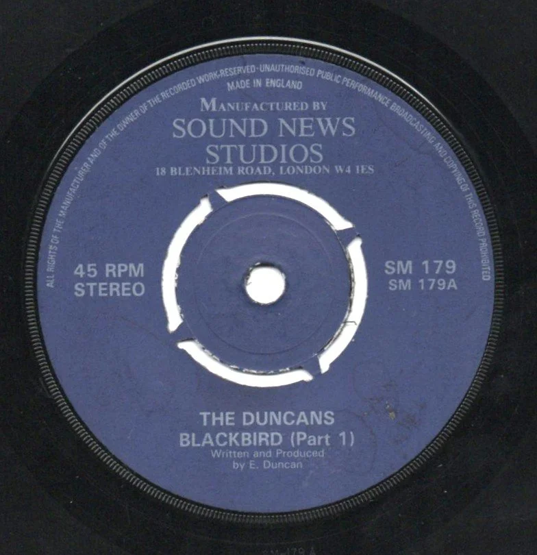 duncansblackbird.jpg