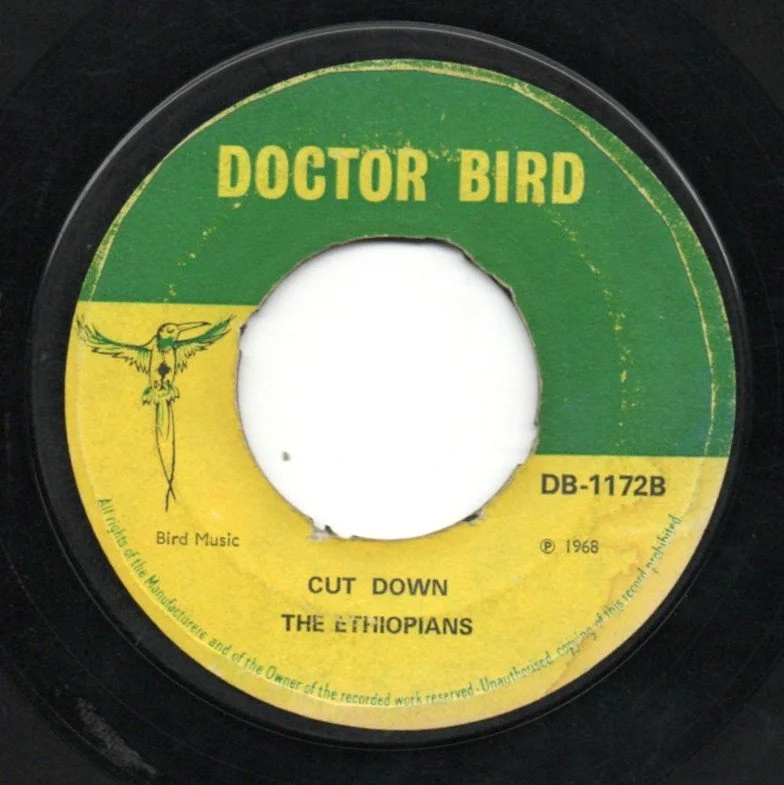 ethiopianscutdownnotme 2.jpg